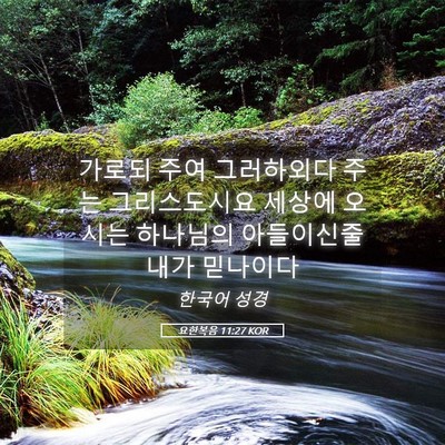 Picture 05 - 요한복음 11:27 KOR - 가로되 주여 그러하외다 주는 - Bible Verse Picture