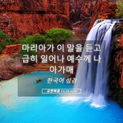 Picture 05 - 요한복음 11:29 KOR - 마리아가 이 말을 듣고 급히 일어나 - Bible Verse Picture