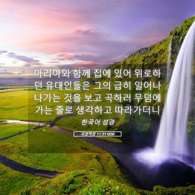Picture 05 - 요한복음 11:31 KOR - 마리아와 함께 집에 있어 위로하던 - Bible Verse Picture
