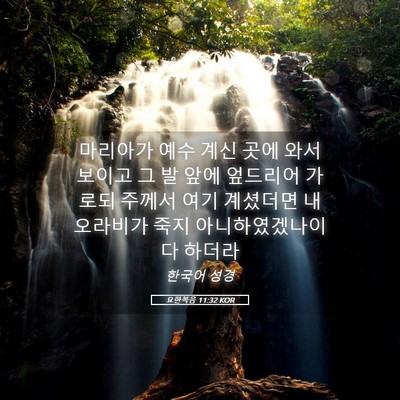 Picture 05 - 요한복음 11:32 KOR - 마리아가 예수 계신 곳에 와서 - Bible Verse Picture