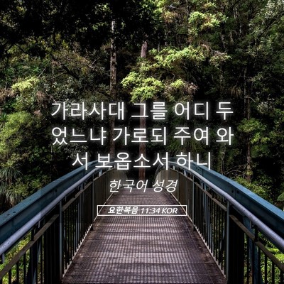 Picture 05 - 요한복음 11:34 KOR - 가라사대 그를 어디 두었느냐 가로되 - Bible Verse Picture