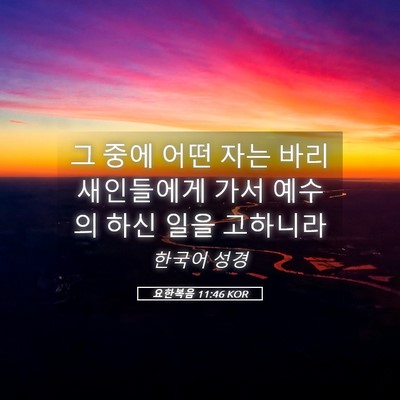 Picture 05 - 요한복음 11:46 KOR - 그 중에 어떤 자는 바리새인들에게 - Bible Verse Picture