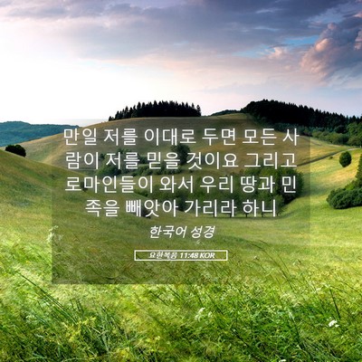 Picture 05 - 요한복음 11:48 KOR - 만일 저를 이대로 두면 모든 사람이 - Bible Verse Picture