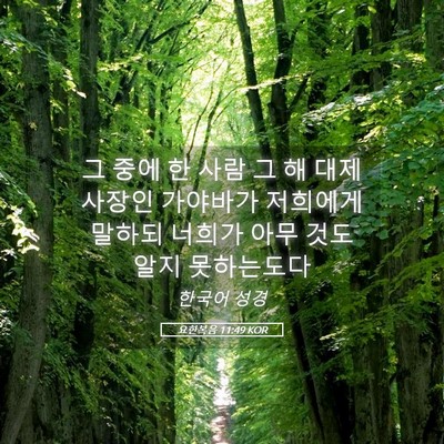 Picture 05 - 요한복음 11:49 KOR - 그 중에 한 사람 그 해 대제사장인 - Bible Verse Picture