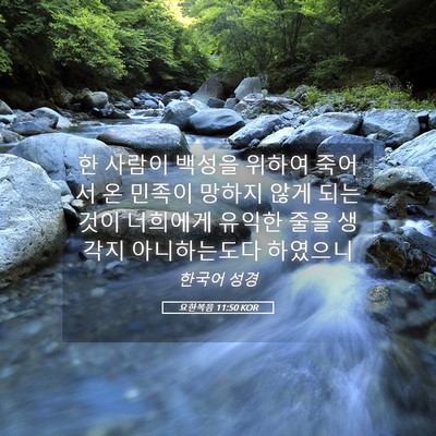 Picture 05 - 요한복음 11:50 KOR - 한 사람이 백성을 위하여 죽어서 온 - Bible Verse Picture