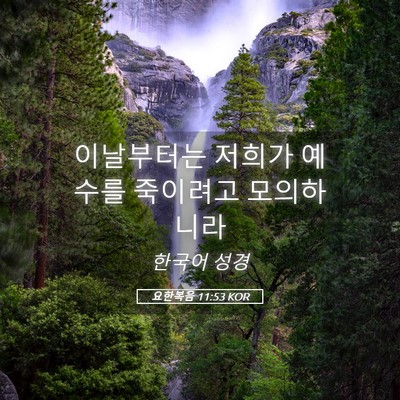 Picture 05 - 요한복음 11:53 KOR - 이날부터는 저희가 예수를 죽이려고 - Bible Verse Picture