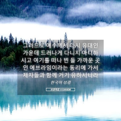 Picture 05 - 요한복음 11:54 KOR - 그러므로 예수께서 다시 유대인 - Bible Verse Picture