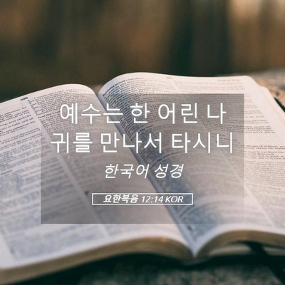 Picture 05 - 요한복음 12:14 KOR - 예수는 한 어린 나귀를 만나서 - Bible Verse Picture