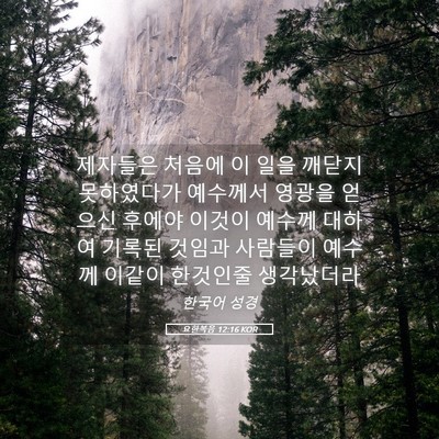 Picture 05 - 요한복음 12:16 KOR - 제자들은 처음에 이 일을 깨닫지 - Bible Verse Picture