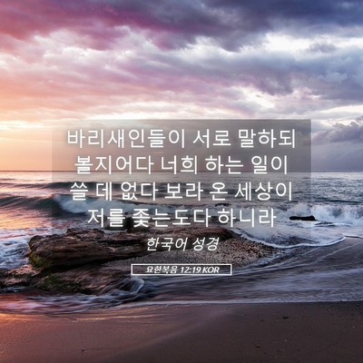 Picture 05 - 요한복음 12:19 KOR - 바리새인들이 서로 말하되 볼지어다 - Bible Verse Picture
