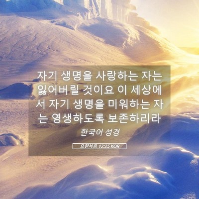 Picture 05 - 요한복음 12:25 KOR - 자기 생명을 사랑하는 자는 잃어버릴 - Bible Verse Picture