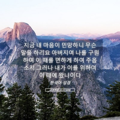 Picture 05 - 요한복음 12:27 KOR - 지금 내 마음이 민망하니 무슨 말을 - Bible Verse Picture