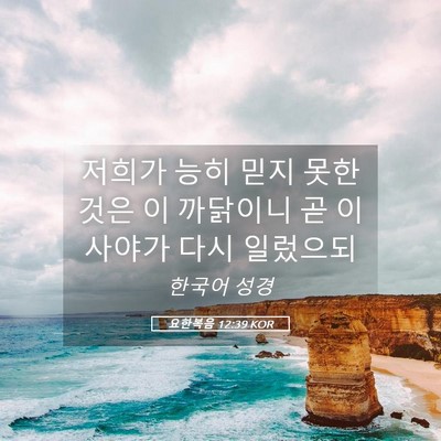 Picture 05 - 요한복음 12:39 KOR - 저희가 능히 믿지 못한 것은 이 - Bible Verse Picture