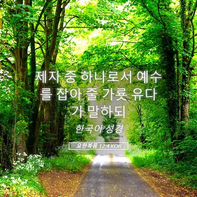 Picture 05 - 요한복음 12:4 KOR - 제자 중 하나로서 예수를 잡아 줄 - Bible Verse Picture
