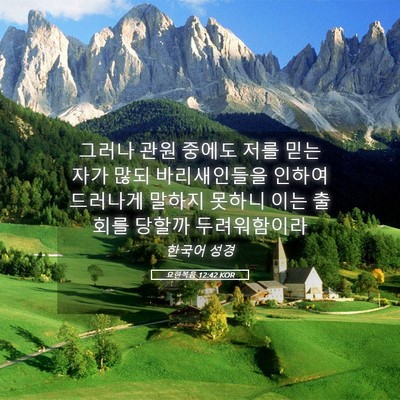 Picture 05 - 요한복음 12:42 KOR - 그러나 관원 중에도 저를 믿는 자가 - Bible Verse Picture