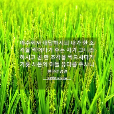 Picture 05 - 요한복음 13:26 KOR - 예수께서 대답하시되 내가 한 조각을 - Bible Verse Picture