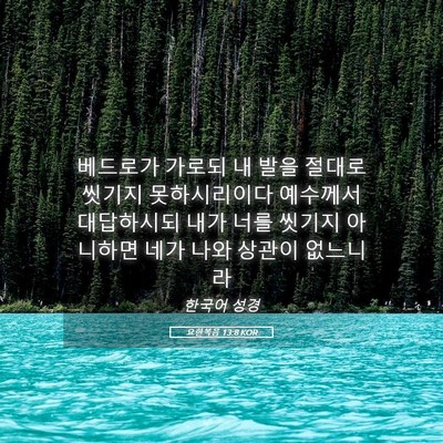 Picture 05 - 요한복음 13:8 KOR - 베드로가 가로되 내 발을 절대로 - Bible Verse Picture