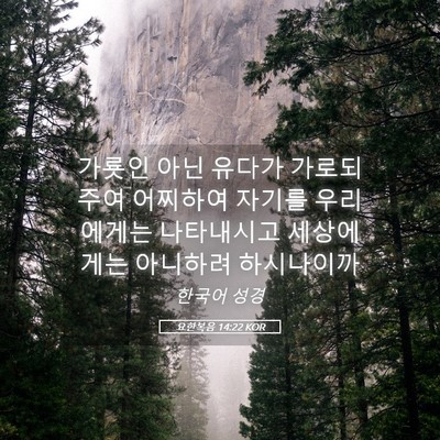 Picture 05 - 요한복음 14:22 KOR - 가룟인 아닌 유다가 가로되 주여 - Bible Verse Picture