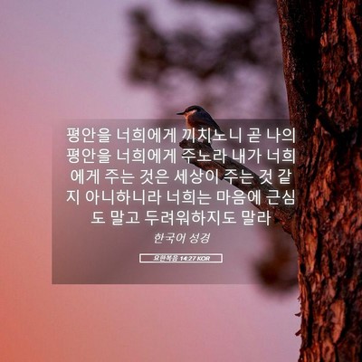 Picture 05 - 요한복음 14:27 KOR - 평안을 너희에게 끼치노니 곧 나의 - Bible Verse Picture
