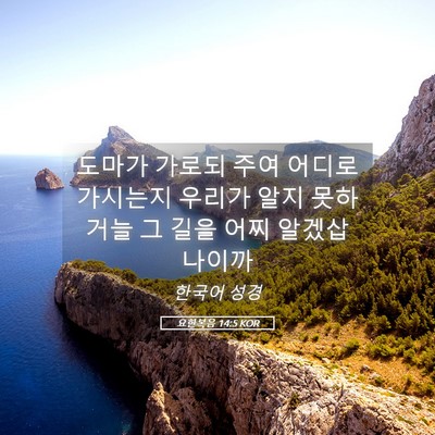 Picture 05 - 요한복음 14:5 KOR - 도마가 가로되 주여 어디로 가시는지 - Bible Verse Picture