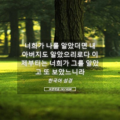 Picture 05 - 요한복음 14:7 KOR - 너희가 나를 알았더면 내 아버지도 - Bible Verse Picture