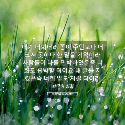 Picture 05 - 요한복음 15:20 KOR - 내가 너희더러 종이 주인보다 더 - Bible Verse Picture