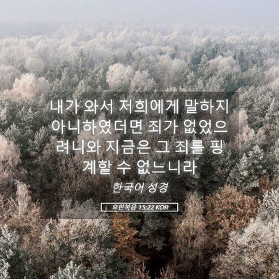 Picture 05 - 요한복음 15:22 KOR - 내가 와서 저희에게 말하지 - Bible Verse Picture