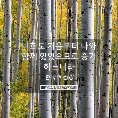 Picture 05 - 요한복음 15:27 KOR - 너희도 처음부터 나와 함께 - Bible Verse Picture