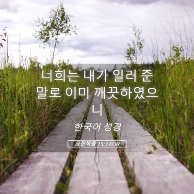 Picture 05 - 요한복음 15:3 KOR - 너희는 내가 일러 준 말로 이미 - Bible Verse Picture