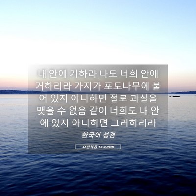 Picture 05 - 요한복음 15:4 KOR - 내 안에 거하라 나도 너희 안에 - Bible Verse Picture