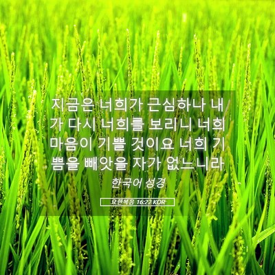 Picture 05 - 요한복음 16:22 KOR - 지금은 너희가 근심하나 내가 다시 - Bible Verse Picture