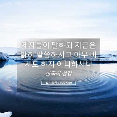 Picture 05 - 요한복음 16:29 KOR - 제자들이 말하되 지금은 밝히 - Bible Verse Picture