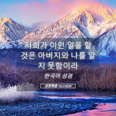 Picture 05 - 요한복음 16:3 KOR - 저희가 이런 일을 할 것은 아버지와 - Bible Verse Picture