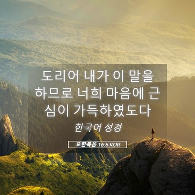 Picture 05 - 요한복음 16:6 KOR - 도리어 내가 이 말을 하므로 너희 - Bible Verse Picture