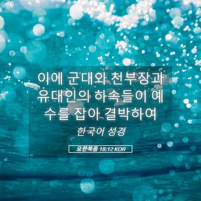 Picture 05 - 요한복음 18:12 KOR - 이에 군대와 천부장과 유대인의 - Bible Verse Picture