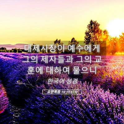 Picture 05 - 요한복음 18:19 KOR - 대제사장이 예수에게 그의 제자들과 - Bible Verse Picture
