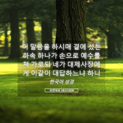 Picture 05 - 요한복음 18:22 KOR - 이 말씀을 하시매 곁에 섰는 하속 - Bible Verse Picture