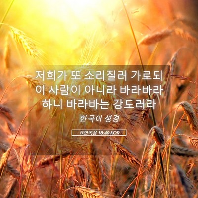 Picture 05 - 요한복음 18:40 KOR - 저희가 또 소리질러 가로되 이 - Bible Verse Picture
