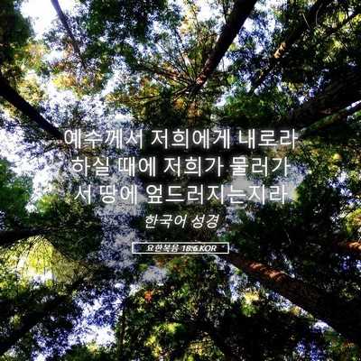 Picture 05 - 요한복음 18:6 KOR - 예수께서 저희에게 내로라 하실 때에 - Bible Verse Picture