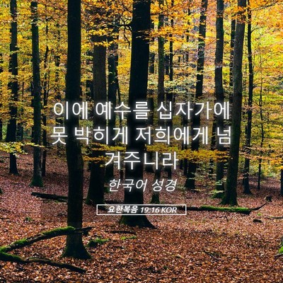Picture 05 - 요한복음 19:16 KOR - 이에 예수를 십자가에 못 박히게 - Bible Verse Picture