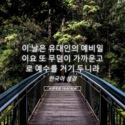 Picture 05 - 요한복음 19:42 KOR - 이 날은 유대인의 예비일이요 또 - Bible Verse Picture