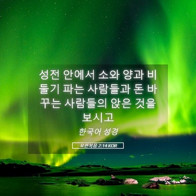 Picture 05 - 요한복음 2:14 KOR - 성전 안에서 소와 양과 비둘기 파는 - Bible Verse Picture
