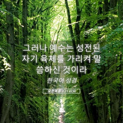 Picture 05 - 요한복음 2:21 KOR - 그러나 예수는 성전된 자기 육체를 - Bible Verse Picture