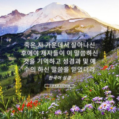 Picture 05 - 요한복음 2:22 KOR - 죽은 자 가운데서 살아나신 후에야 - Bible Verse Picture