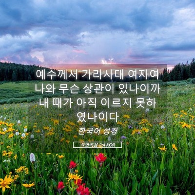 Picture 05 - 요한복음 2:4 KOR - 예수께서 가라사대 여자여 나와 무슨 - Bible Verse Picture