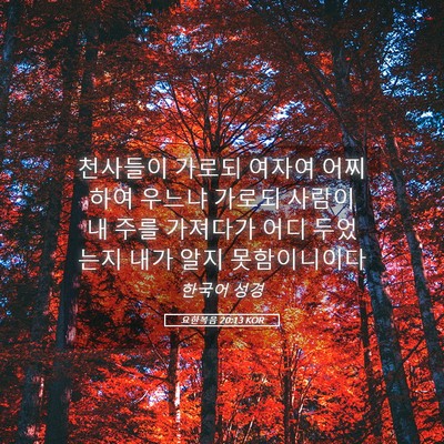 Picture 05 - 요한복음 20:13 KOR - 천사들이 가로되 여자여 어찌하여 - Bible Verse Picture
