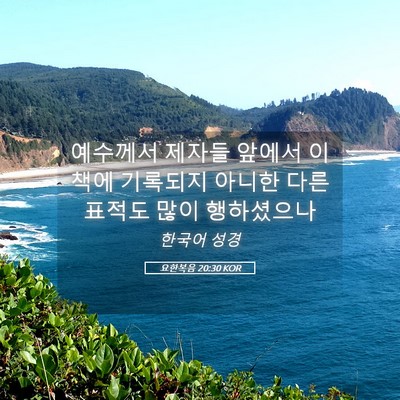 Picture 05 - 요한복음 20:30 KOR - 예수께서 제자들 앞에서 이책에 - Bible Verse Picture