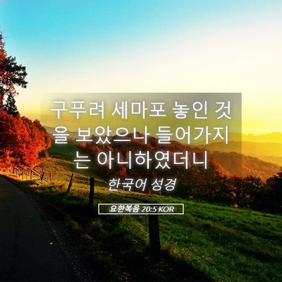 Picture 05 - 요한복음 20:5 KOR - 구푸려 세마포 놓인 것을 보았으나 - Bible Verse Picture