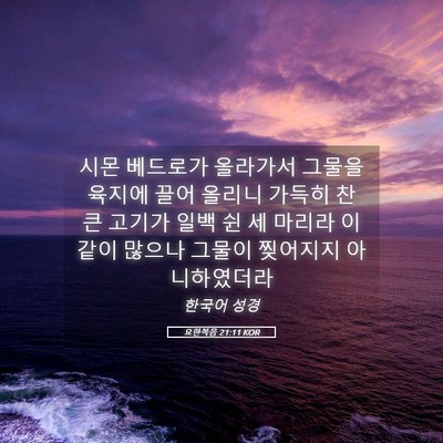 Picture 05 - 요한복음 21:11 KOR - 시몬 베드로가 올라가서 그물을 - Bible Verse Picture