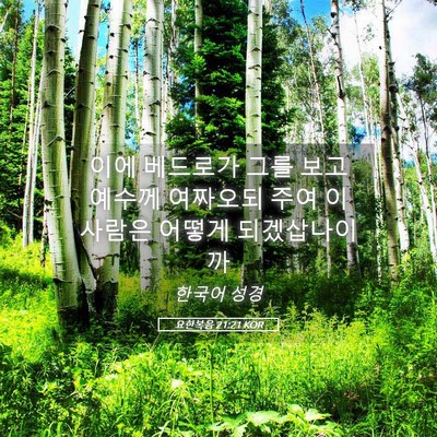 Picture 05 - 요한복음 21:21 KOR - 이에 베드로가 그를 보고 예수께 - Bible Verse Picture